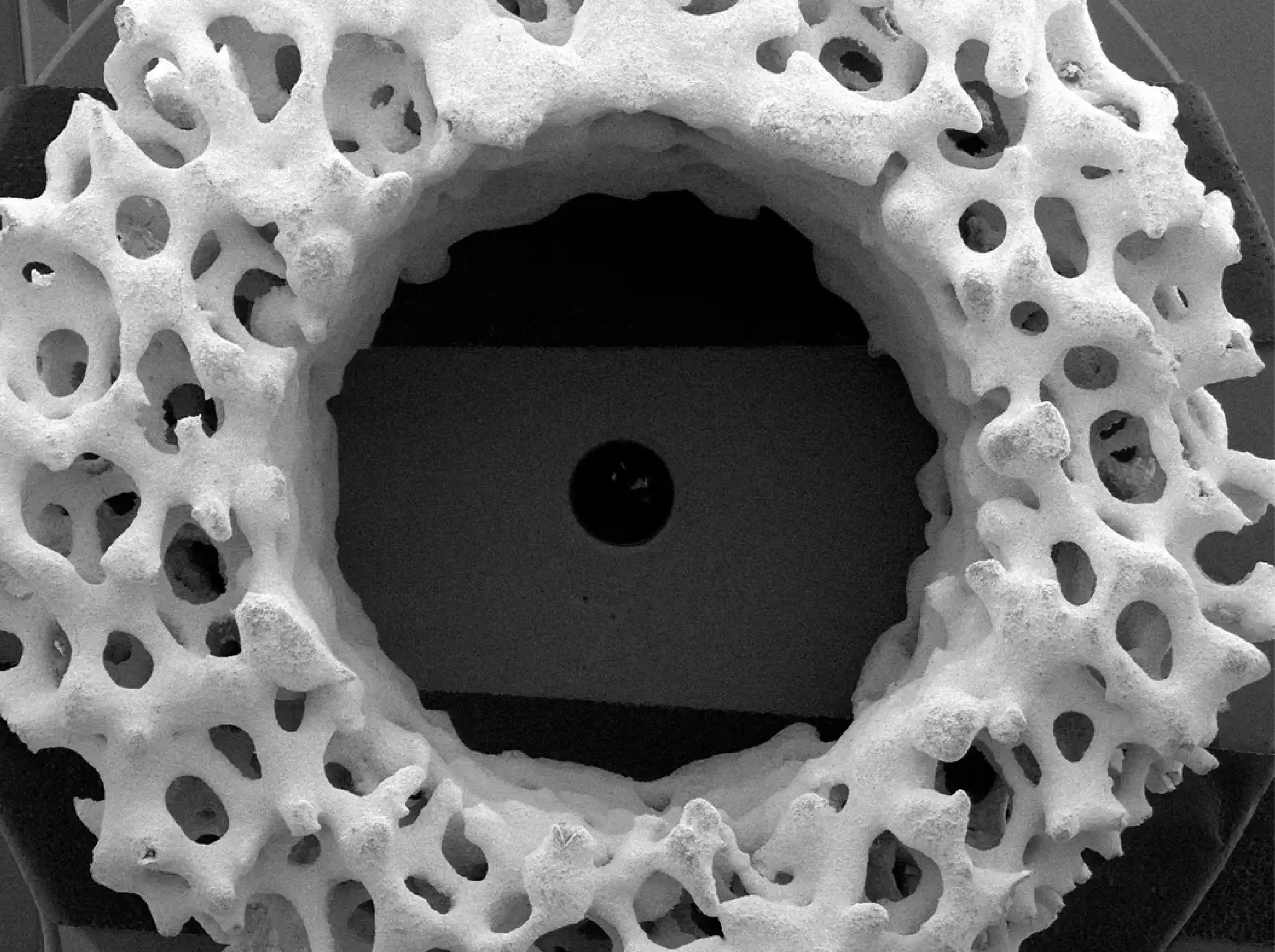 Pharma & Biopharma | KSA